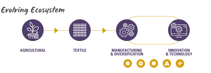 Graphic showing Upstate SC's economic transition from agriculture to textiles to manufacturing, innovation and technology.