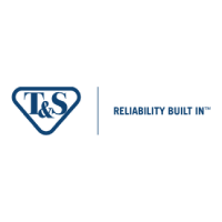 T&S Brass transparent logo